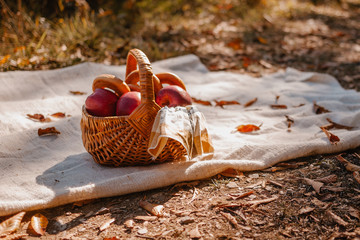 Basket with red apples on plaid in autumn park
