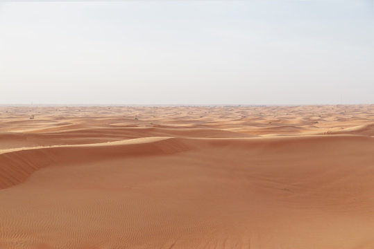 Camels in the heart of the Wadi Rum desert, Jordan