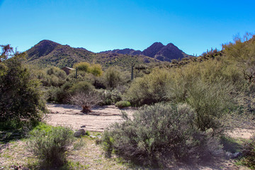 Dry wash in Scottsdale Arizona