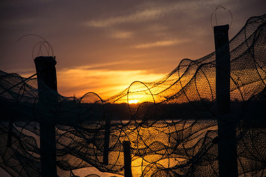 Fischreuse im Sonnenuntergang