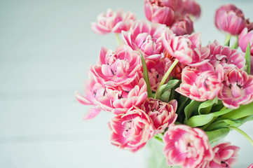 Fototapeta premium Bouquet of pink tulips. close up of a tender spring bouquet. bridal bouquet of tulips on a light background.