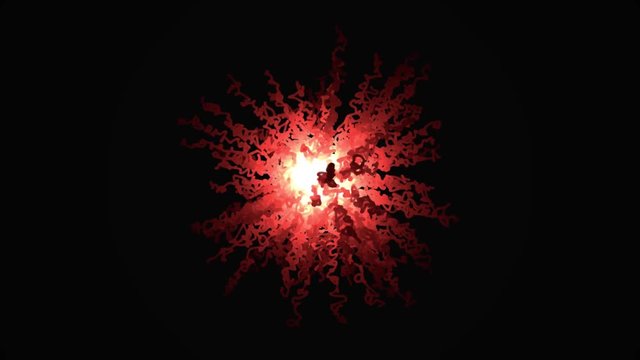 Abstraction of explosion of confetti. Abstract animation of painted explosion of confetti from squiggles. Animation of curly colored lines growing out of center on black background