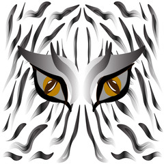White tiger eyes and skin.