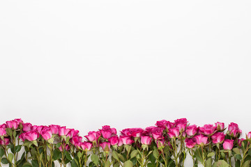 Flowers composition. Frame made of red rose on white wooden background. Flat lay, top view, copy space.