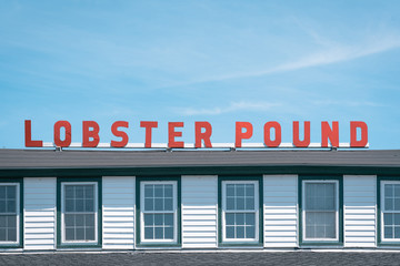 Lobster Pound, in Lincolnville, Maine
