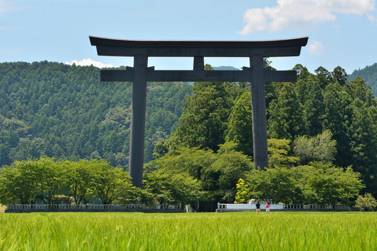 guard frame at the entrance to a Shinto shrine, rice field, blue sky - Kumano Hongu, Japan : 奉祝 記念行事12月迄斎行中-celebration is being held until December