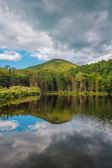 Fototapeta na wymiar Saco Lake, at Crawford Notch State Park, in the White Mountains, New Hampshire