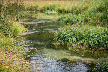 Bach in Auen und Sumpf Landschaft