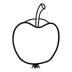 Cartoon doodle linear apple isolated on white background. Vector illustration.  