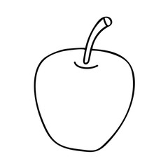 Cartoon doodle linear apple isolated on white background. Vector illustration.  