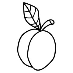 Cartoon doodle linear apricot with leaf isolated on white background. Vector illustration.