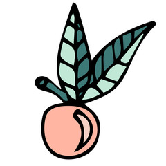 Doodle berry with leaves isolated on white background. Cherry. Icon. Vector illustration. 
