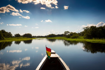 Travelling on a boat through the pampas near Rurrenabaque, Bolivia