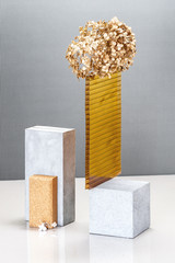 Still life using concrete blocks, textural building elements and a golden plant.