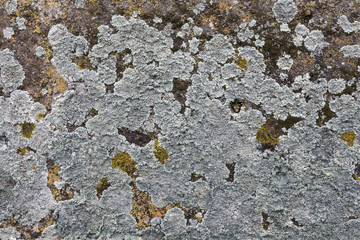 Wall of Saint Hripsime Church