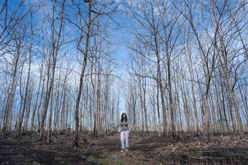 Obraz premium woman standing in the middle of the wood with leafless trees