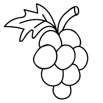 Grape Cartoon Illustration | Grape drawing, Cartoon illustration, Fruit  illustration