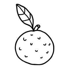 Cartoon doodle linear orange with leaf isolated on white background. Vector illustration.