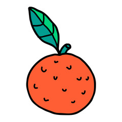 Cartoon doodle linear orange with leaf isolated on white background. Vector illustration.