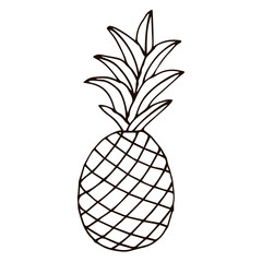 Pineapple isolated on white background. Cartoon pineapple. Vector illustration. 