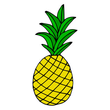 Pineapple isolated on white background. Cartoon pineapple. Vector illustration. 