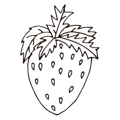 Cute colorful cartoon red strawberry with green leaves and yellow seeds isolated on white background. Vector illustration.  