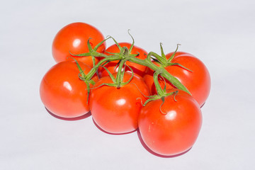 Tomatoes on a white background
