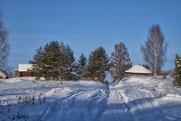Snow covered trees in the winter forest