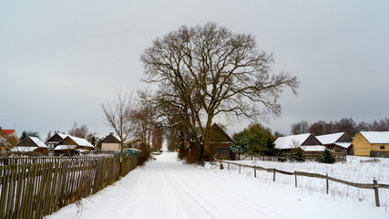 Zima w dolinie Górnej Narwi, Podlasie, Polska © podlaski49