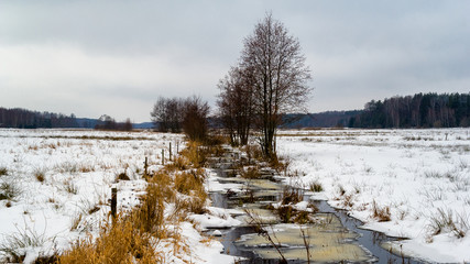Zima w dolinie Górnej Narwi, Podlasie, Polska © podlaski49