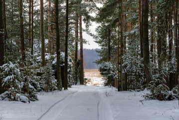 Zima w dolinie Górnej Narwi, Podlasie, Polska © podlaski49