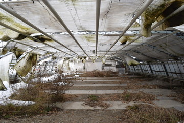 verlassenes Gewächshaus