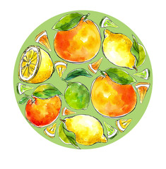 watercolor hand-drawn citrus: lemon, lime, tangerine, orange, arranged in a circle shape. Great for packaging juices, ice cream and other citrus fruit products