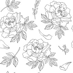 Seamless pattern with flowers and leaves of peony. Black outline on transparent background.