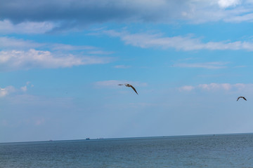 summer cloudy sky over the sea