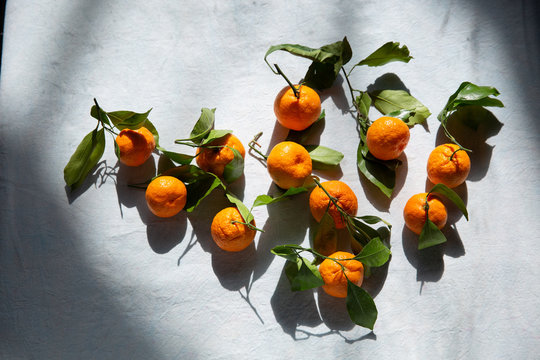 satsumas in sunlight