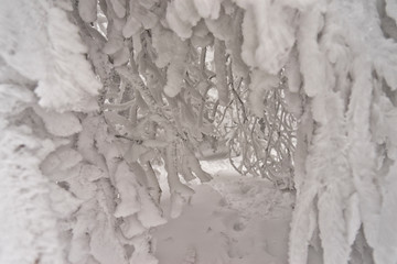 Winterparadies. Wintermärchen.