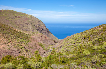 Fototapeta na wymiar Gran Canaria, January