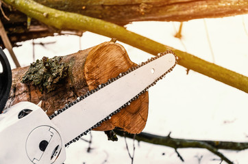 Chain saw saw cuts a log in the forest. Forest clearing, tree cutting, ecology.