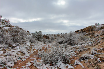 Snowy canyon outside Holbrook Arizona