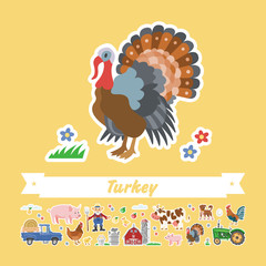  Vector flat illustration of cartoon turkey. Comic isolated funny turkeycock. Farming collection isolated stickers. Charater bubbly jock.