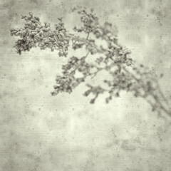 textured old paper background