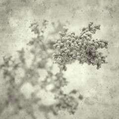 textured old paper background