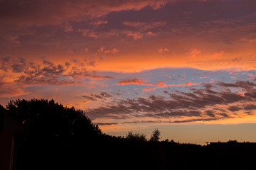 Fototapeta na wymiar Ciel nuageux et oranger 