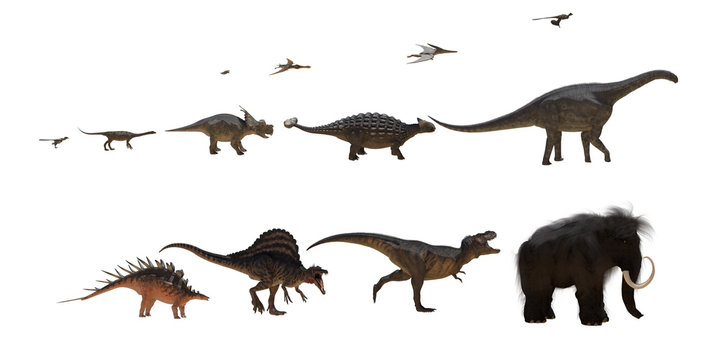 different dinosaurs on white background render 3d
