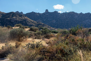 Tom's Thumb in the Scottsdale Preserve