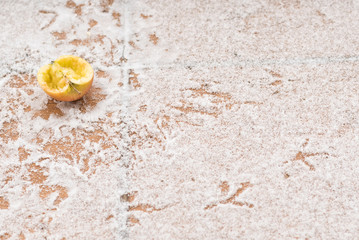 Footprints of birds on the snow close-up, background, texture