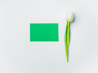 Mother's day greeting card with tulip