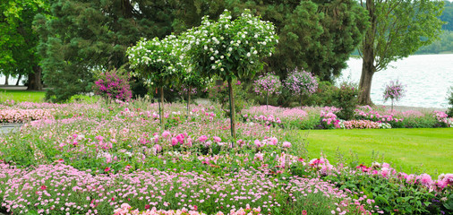 Summer park with lawn and flower garden. Wide photo.