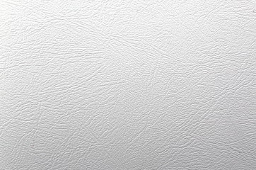 Texture leather white background